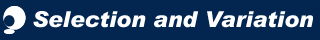 SaV_logo