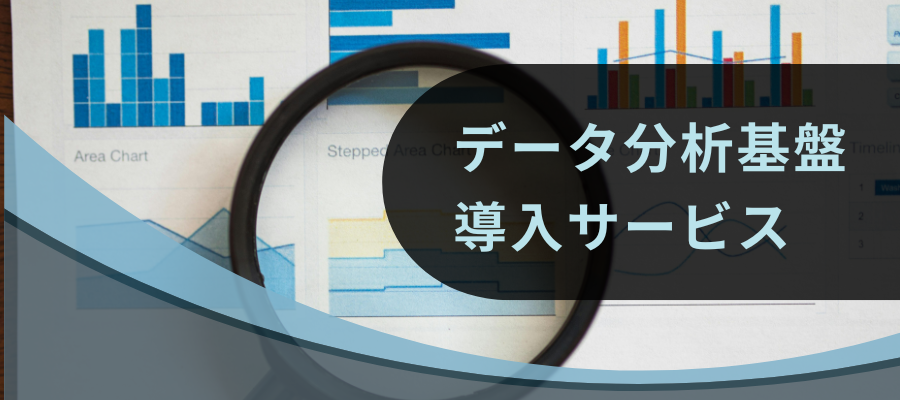 データ分析基盤導入サービス